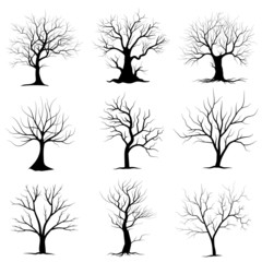 Black Branch Tree or Naked trees silhouettes set. Hand drawn isolated illustrations.