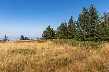 Amazing Autumn landscape of Vitosha Mountain, Bulgaria