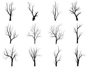 Black Branch Tree or Naked trees silhouettes set. Hand drawn isolated illustrations.