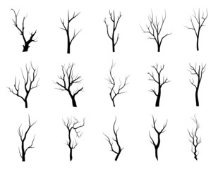 Black Branch Tree or Naked trees silhouettes set. Hand drawn isolated illustrations.
