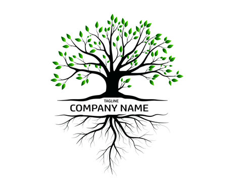 Trees and root with green leaves look beautiful and refreshing.Tree and roots LOGO style.