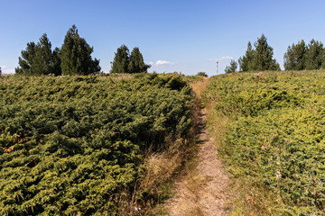 Amazing Autumn landscape of Vitosha Mountain, Bulgaria