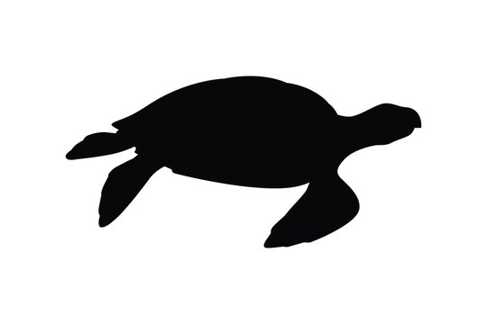 Sea turtle silhouette vector