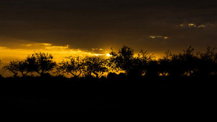 Campo al atardecer