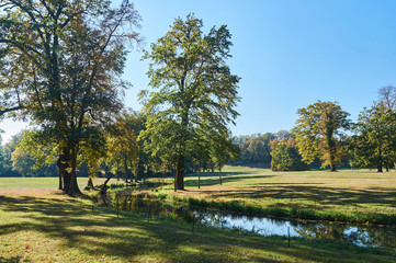 river and trees in the garden of the Muskauer park during autumn in Germany.