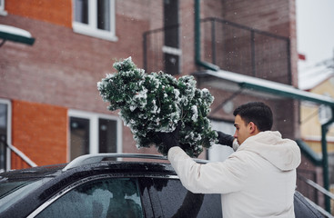 Man in white wear putting christmas fir tree on the top of his car outdoors