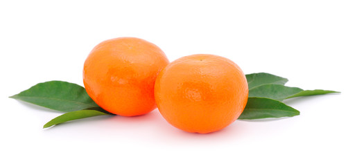 Two tangerines isolated.