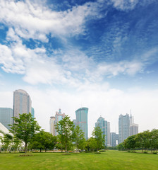 city park with modern building background in shanghai