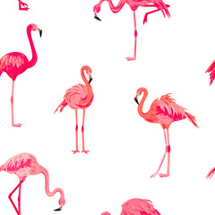 Pink flamingos seamless patterns. Vector illustration.