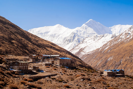 Ledar village, tourist lodge and guesthouse buildings.