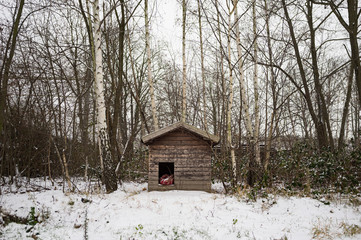 A forest with a dog house in the snow