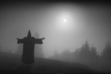 Fairy wizard in a cassock. Black and white