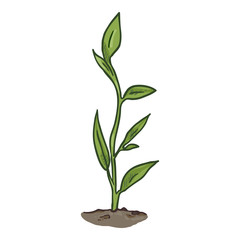 Obraz na płótnie Canvas Vector Cartoon Green Sprout