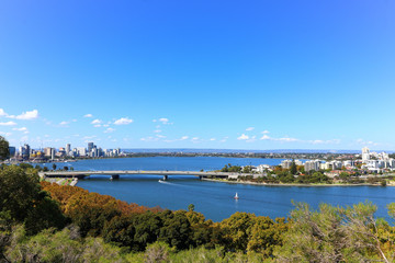 Fototapeta na wymiar Skyline of Perth, from Kings park, Western Australia