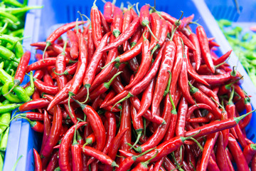 Cayenne pepper, chili spur pepper, long fed pepper, spur pepper, Capsicum annuum Linn. Var acuminatum Fingerh.