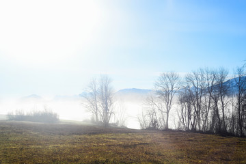 Peaceful alpine landscape during winter
