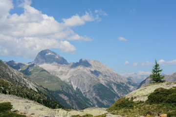 Fototapeta na wymiar Beautiful landscape in the Swiss alps
