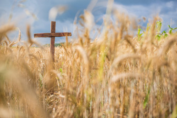 A Christian wooden cross standing on a cornfield amid wheat crop and hay bales