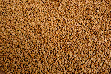 Fresh raw dried coffee beans background.