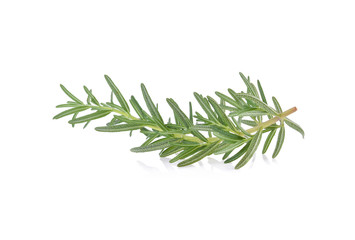 Fototapeta premium Rosemary isolated on white background,