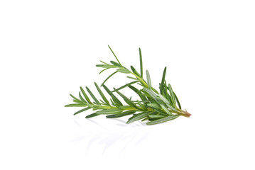 Rosemary isolated on white background.