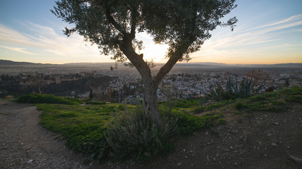 Panorámica de la ciudad de granada desde el mirador de San Miguel