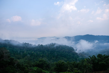 Aerial view of mist, cloud and fog hanging over a lush tropical rainforest in the morning.
