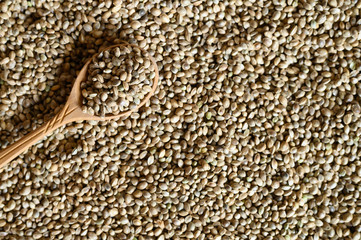 background of hemp seeds with a rustic wooden spoon. space for text