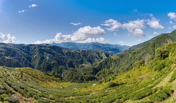 Panoramic picture from the Taiwanese village Lishan over the imoressive mountain landscape in summer