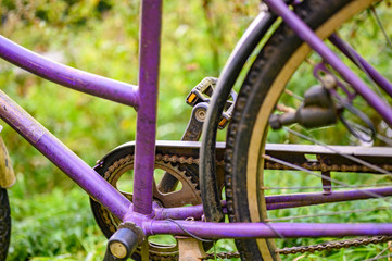 Parts of an abandoned weathered bike in a park.