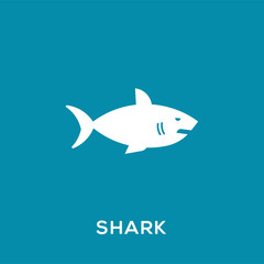 Shark vector icon, wild sea animal symbol. Trendy Flat style for graphic design, Web site, UI. EPS10. - Vector illustration