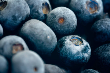 blueberries unclose