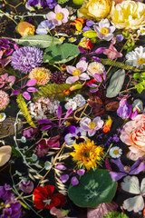 Multicolored summer flowers on a sunny day, selective focus, top view