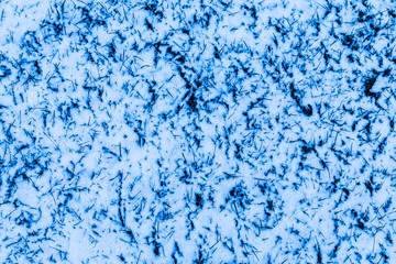 The white background of the snow fallen on the trimed grass lawn