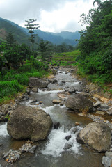 stream in the mountains