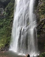 waterfall in forest