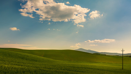 tuscany landscape green yellow hills