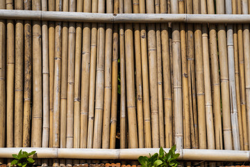 Dry bamboo fence texture or background. Eco natural background concept.