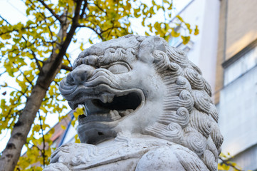 Close up of a stone lion, lion dog or foo dog sculpture in Chinatown