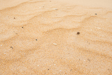 texture of sand on beach for texture or background