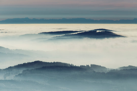 forest covered with snow and ice frost in inversion clouds