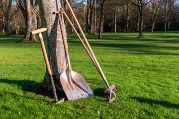 Gardening tools leaning against a tree on a sunny day. Garden and park maintenance at the beginning of spring. Springtime clean up and works concept.