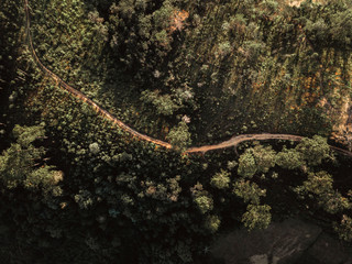 Summer forest aerial view and Road Thailand mountains