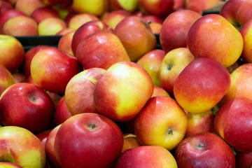 Fototapeta na wymiar ripe red apples close-up. harvest fruit on the shelves of a market or hypermarket. selective focus