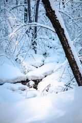 Snowy forest after fresh snowfall with river running through snow covered passage.