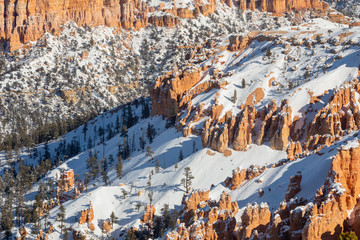 Scenic Winter Landscape in Bryce Canyon National Park