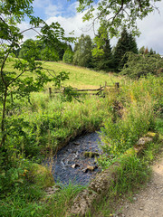 Kirk Burn, Cardrona Forest, Innerleithen, Scottish Borders, Scotland