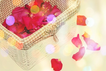 Red rose petals on a white background. Romantic banner. Greeting card for women. Color bokeh.