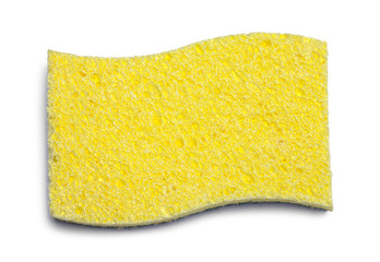 Yellow Sponge