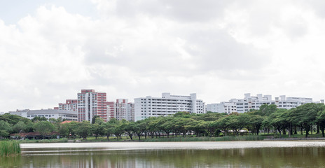 Tall grasses with river and residential condominium background